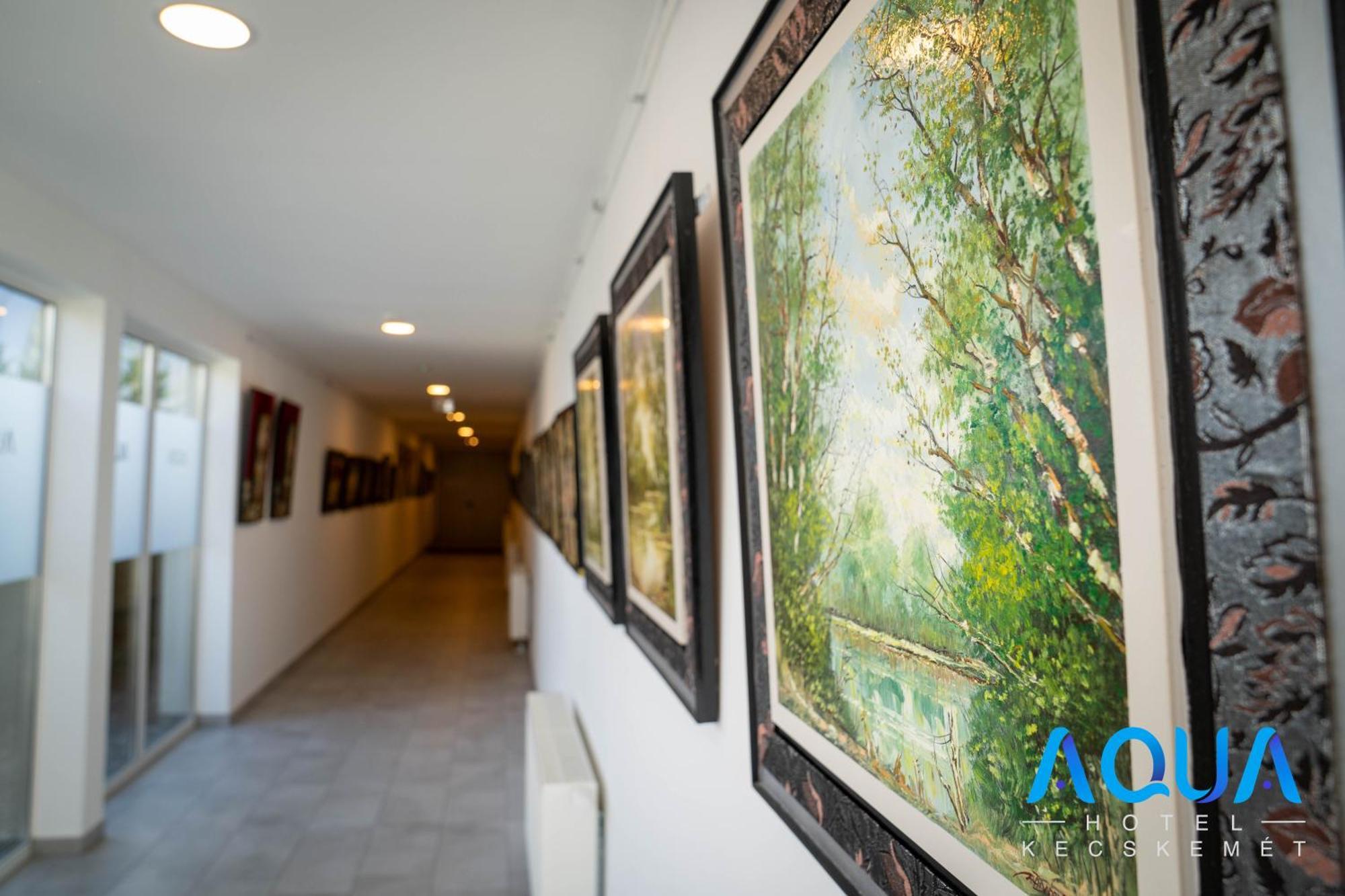 Aqua Hotel Kecskemét Esterno foto